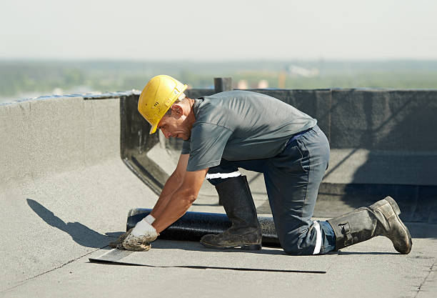 Best Insulation Installation Services in Somerville, NJ